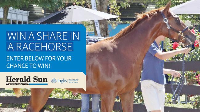 Herald Sun – Win a ten per cent share in racehorse purchased at the Inglis Premier Yearling Sale valued up to $100,000