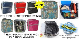 Paging Fun Mums – Win Two Fridge-To-Go Lunch Bags and Name Tags Giveaway