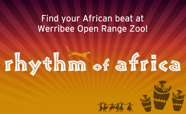 Zoos Victoria – Win the Ultimate Rhythm of Africa Overnight Experience