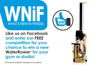 WNiF – WIN a WaterRower Indo-Rower Rowing Machine