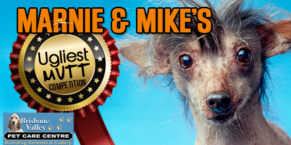 River 949  – Win Marnie & Mike’s Ugly Mutts *Show finalist dogs in Studio