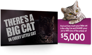 Whiskas – Win 1 of 5 prizes of $5000