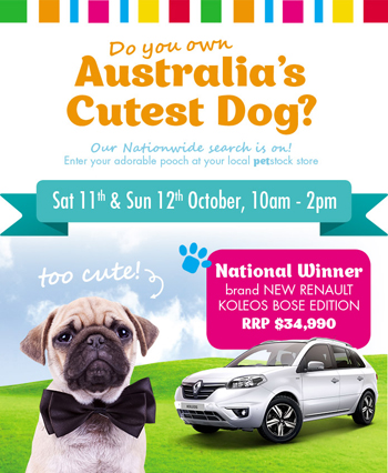 Pet Stock-Australias Cutest Dog – Win a brand new Renault Koleos Bose Edition valued at $34990