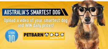 Tenplay – Share a video of your smartest dog to Win daily prizes