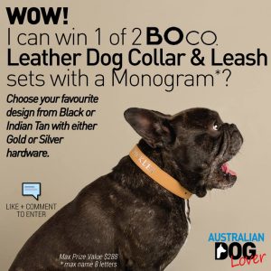 Australian Dog Lover –  Win 1 Of 2 Boco Leather Dog Collar  Lead Sets With A Monogram (your Dog’s Name) In Time For #fathersday Thanks To Boco Australia A Designer Brand Of Lifestyle Accessories For Your Pooches