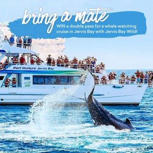 Experience OZ + NZ – Win a double pass for a whale watching cruise at Jervis Bay