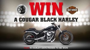 CUB – Win A Cougar Black Harley Davidson (prize valued at $32,600) OR 1 of 10 Harley Day Passes