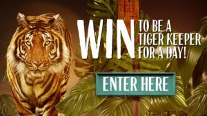 Nationwide News – The Daily Telegraph – Win to be a Tiger Keeper for a day at Taronga Zoo Sydney OR 1 of 100 family passes