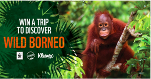 World Wild Fund – Meet the Family Borneo Orangutan – Win a trip for 2 to Kota Kinabalu on a 12-day Sabah Adventure Expedition valued at $8,600