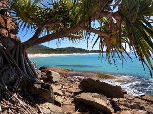 Australian Tourist Park Management – Win a 7-night stay at any of the 5 Macleay Valley Coast Holiday Parks