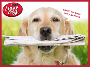 Nestle Purina PetCare – Lucky Dog – Win a Year’s supply of Lucky Dog Dry Dog Food valued at $230 AUD