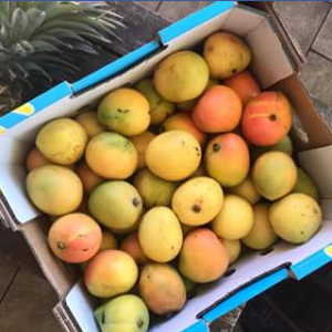 Charlie’s Fruit Market – Win A Tray Of Kp Mangoes