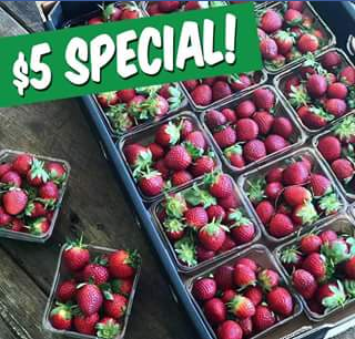 Charlie’s Fruit Market – Win a tray of strawberries