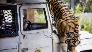 Child Magazine – Win A Family Pass To Taronga Zoo  (prize valued at  $144)