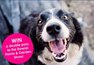 Dogue – Win One Of Five Dps To Bowral Home  Garden Show Closes @10am