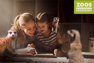 RACV M-R paid – Win The Ultimate Zoo Experience (prize valued at $3,486)