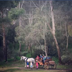 South Aussie with Cossi – Win A 45min Horse Drawn Carriage Ride Through Montacute Valley