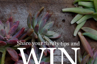 The Plant Hunter – Win 2 X Packs of Plants From @plantsinabox (prize valued at $150)