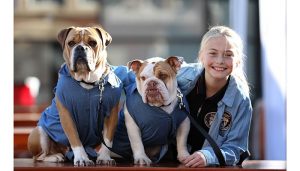 Mind Food – Brisbane Dog Lovers Show – Win 1 of 4 Family Passes to the Show valued at $80 each