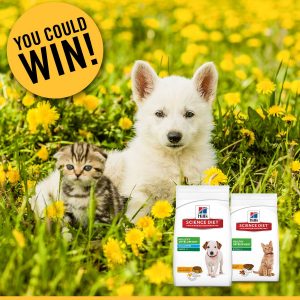 Petbarn – Hills 17 – Win 1 of 400 Premium Puppy & Kitten Food boxes valued at over $83 each
