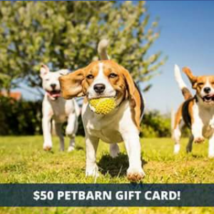 Booval Fair – Win a $50 PeTBarn Gift Card