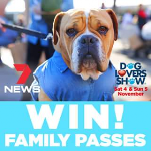 Channel 7 Qld – Win a Family Pass to this Year’s Dog Lovers Show