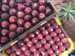 Charlie’s Fruit market – Win a Tray of Yellow Flesh Nectarines