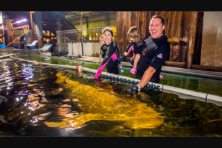 Child Magazine – Win a Family Pass to Irukandji Shark & Ray Encounters In Port Stephens (prize valued at $97)