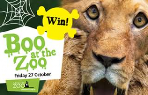 FruChocs – Win a Family Pass to Adelaide Zoo’s ‘boo at The Zoo’ (prize valued at $77)