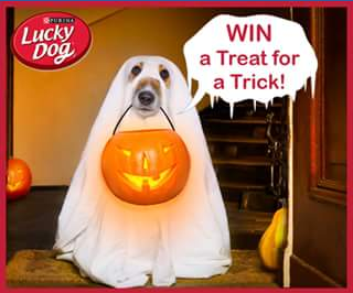 Purina Australia – Win One of Five Halloween Treat Packs of Lucky Dog & Total Care Products (prize valued at $250)