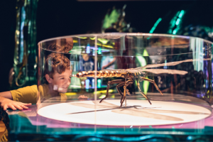 Star Weekly – Win One of Five Family Passes to Bug Lab (prize valued at $350)