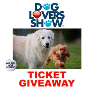The Great Day Out – Win One of Five Double Passes to Dog Lovers Show Brisbane