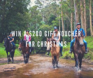Glenworth Valley Outdoor Adventures – Win a $200 gift voucher