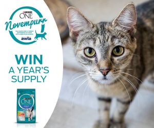 Purina Australia – Win one year’s supply of Purina One cat food valued at over $237