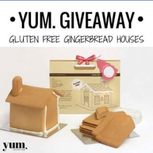 Gluten free – Win a Gluten Free Vegan Gingerbread House By Gingerbread Folk