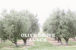 Pialligo Estate – Win Olive Grove Lunch X2 Tickets More Info on The Lunch (prize valued at $300)