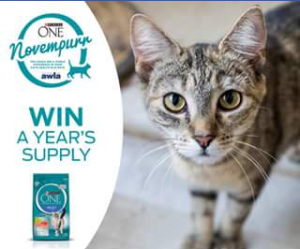 Purina – Win a Year’s Supply of Purina One Cat Food (prize valued at $237)