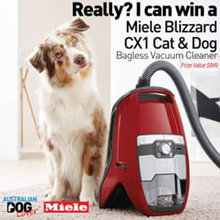 Australian Dog Lover – Win a Brand New Blizzard Cx1 Cat & Dog Bagless Vaccum Cleaner (RRP (prize valued at $849)
