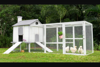 Backyard Chicken Coops – Win a Chicken Coop Package Today (prize valued at $1,600)