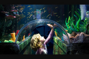Child Magazine – Win a Pass to Sea Life Melbourne (prize valued at $99)