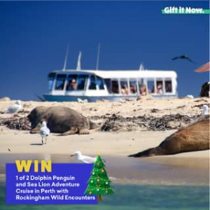 Gift It Now – Win 2 X Dolphin and Sea Lion Adventure Cruises In Perth With Rockingham Wild Encounters..
