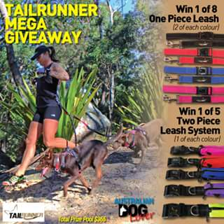 Australian Dog Lover – Win 1 of 13 Hands-Free Leash Systems to Run With One Or Two Dogs (prize valued at $365)