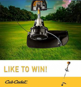 Club Cadet Australia – Win The Cub Cadet Cc924 Pro Brushcutter