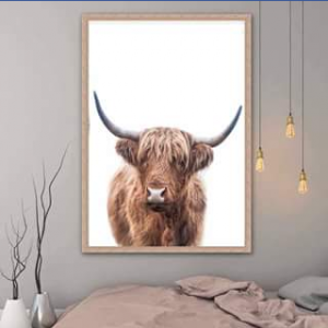 Country Designs – Win a Highland Cattle Fine Art Print (prize valued at $285)