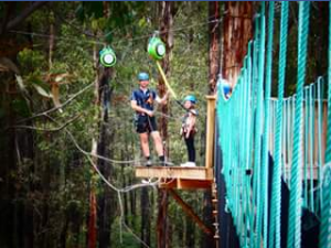 Kidding Around Australia – Win a Treetops Experience for Six People (aged 5 and Up) at Kinglake Forest Adventures Worth $270?