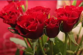 The Flower Crew – Win a Dozen Roses for Valentine’s Day