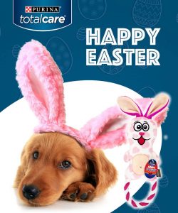Purina Australia – Win 1 of 12 Total Care Easter Bunny toys