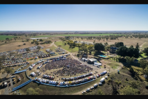 RACQ – Win One of Five Double Passes to The Day-Long Music Festival Day on The Plain this May (prize valued at $158)