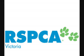 RSPCA Victoria – Win a Haygain Forager and 22 Bags of Horsemate Bedding
