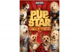 Sweepon – Win 1 of 7 DVD Packs Including The New Pup Star Better 2gether